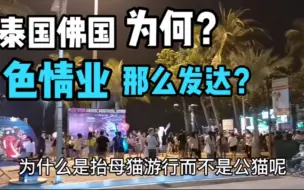 Tải video: 泰国这样一个信仰佛教的国度，为什么灰色产业竟会如此发达？