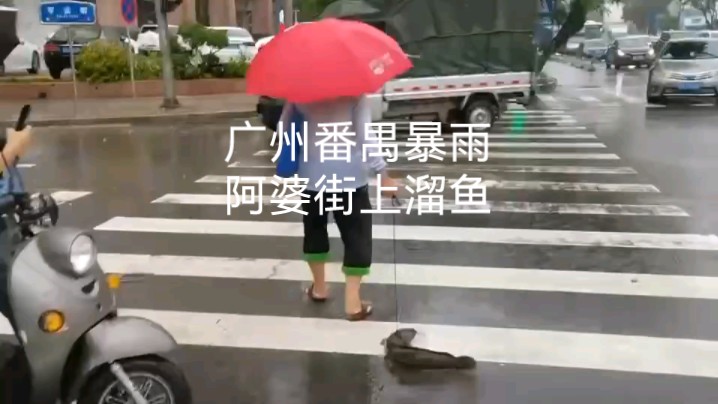 搞笑一幕:下雨了,阿婆街上溜鱼哔哩哔哩bilibili