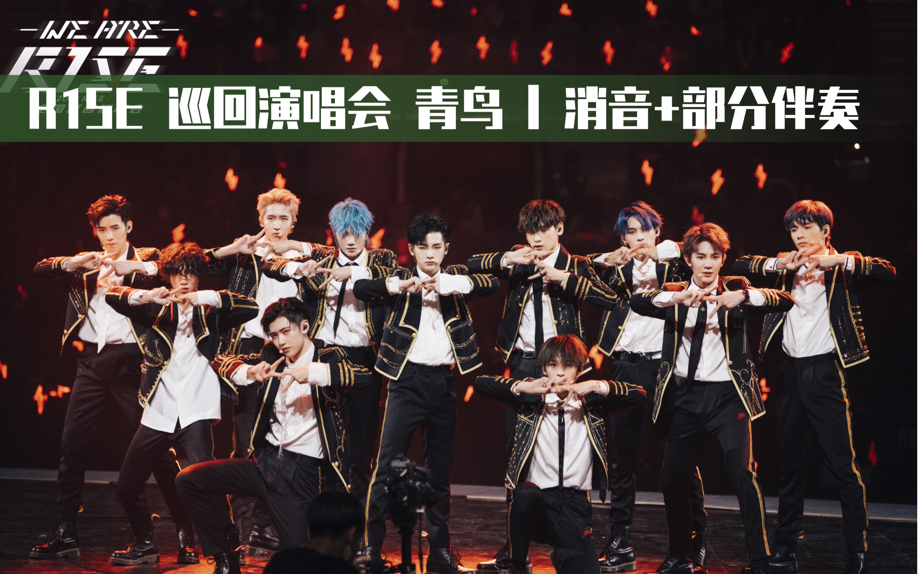 【r1se】2019巡回演唱会重庆场 | 青鸟 消音/加强人声