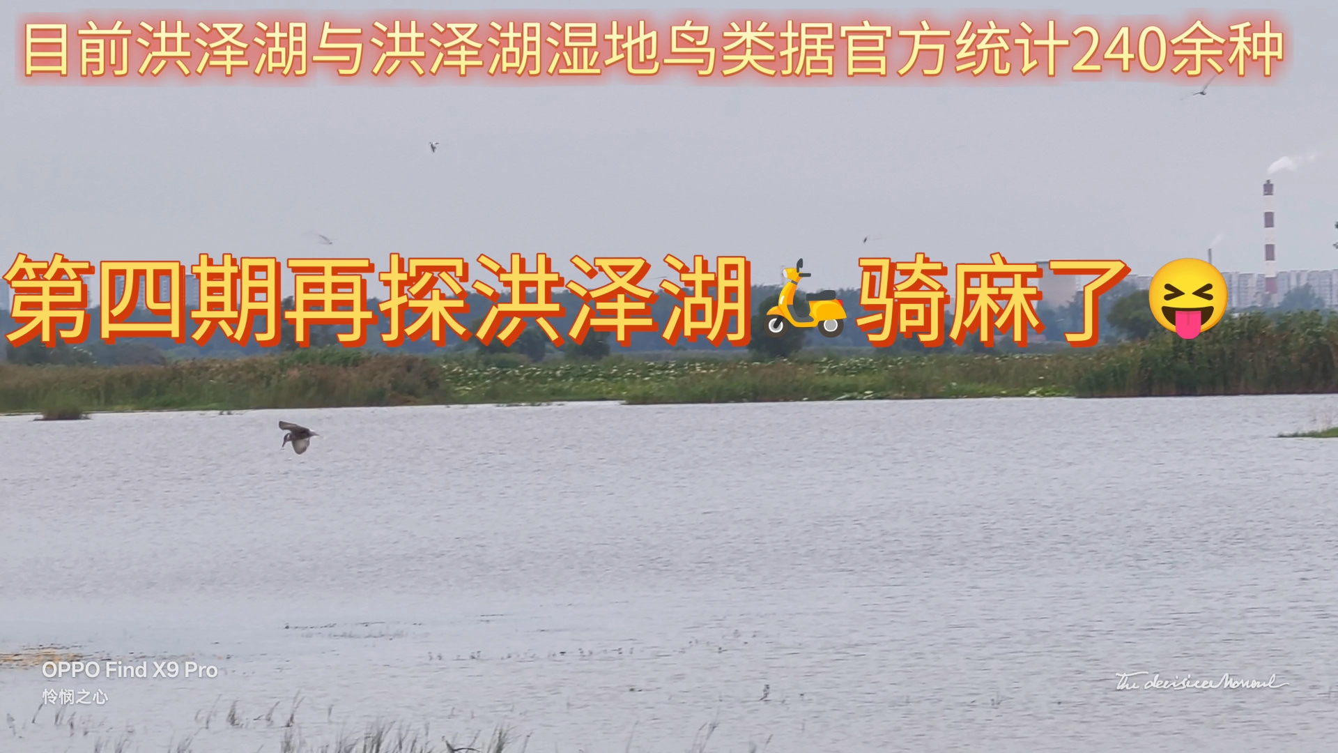 洪泽湖与洪泽湖湿地位于江苏宿迁泗洪县东南部的洪泽湖湿地景区，静卧洪泽湖西岸，总面积5.2平方千米，是国家级自然保护区核心实验区，也是国家AA