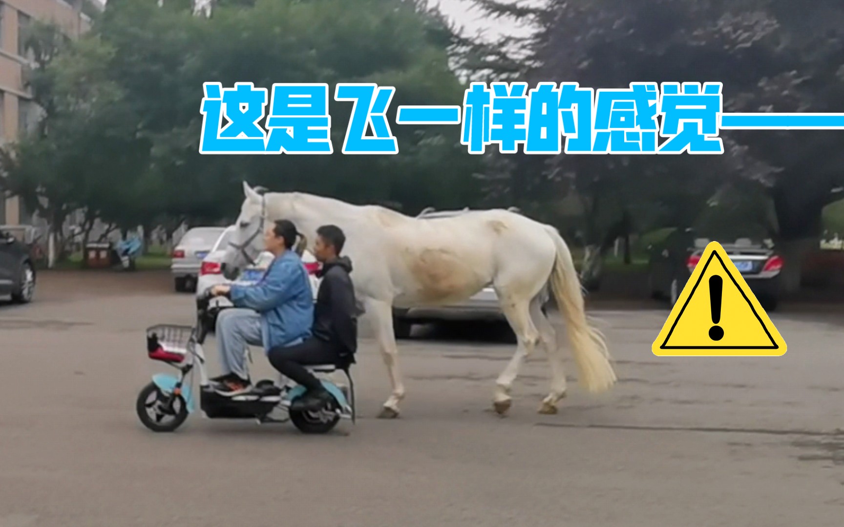 校园里骑着电动车遛马?就是这么拉风!哔哩哔哩bilibili