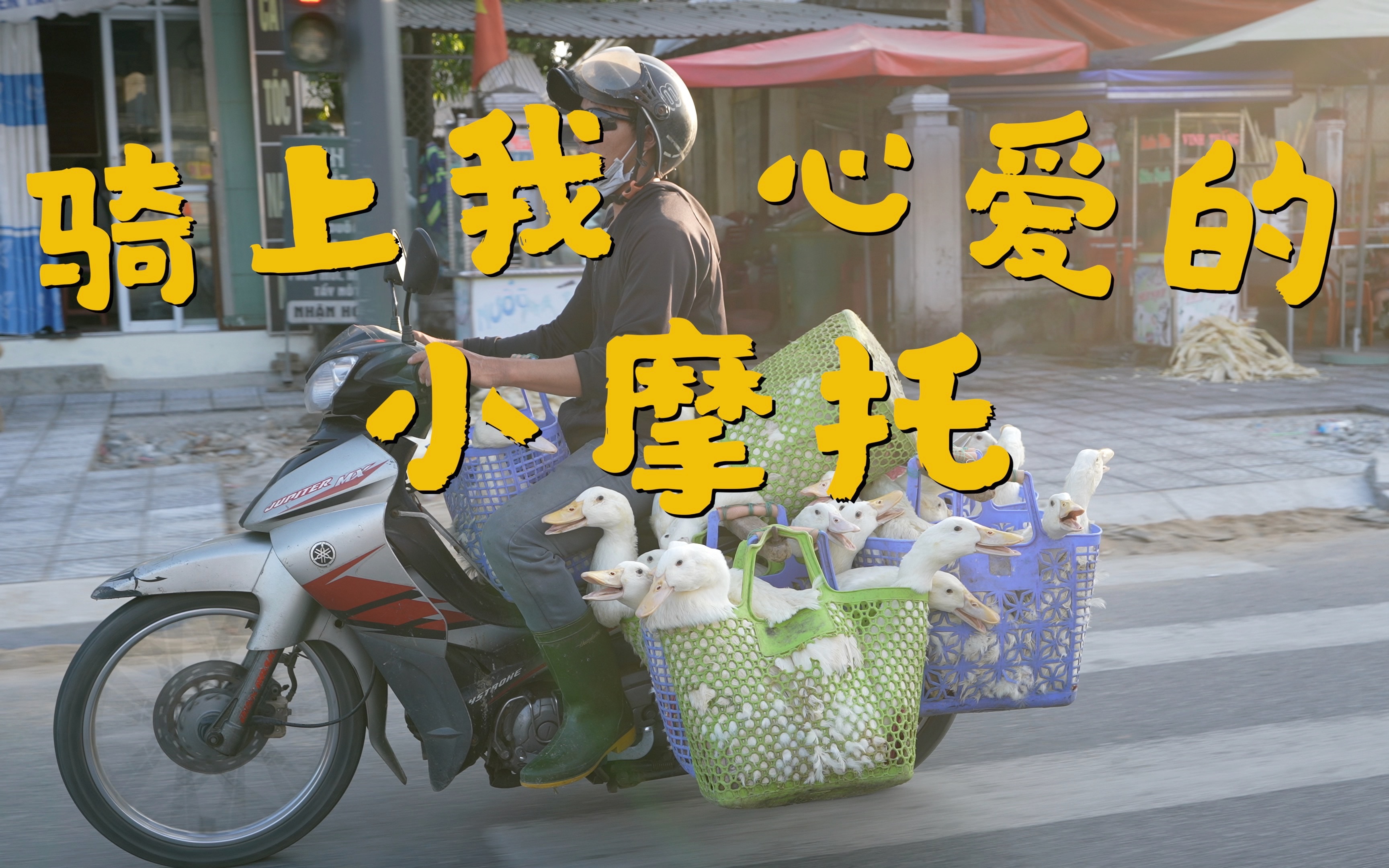 9799胡志明逛吃ep3【骑上我心爱的小摩托9315】