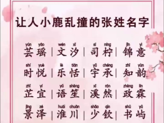 让人小鹿乱撞的张姓名字哔哩哔哩bilibili