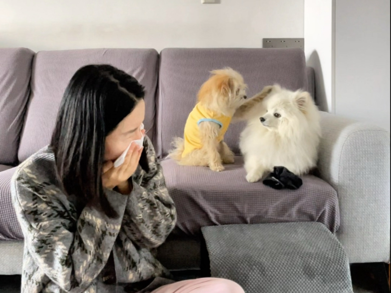 我有轻度抑郁，医生劝我养只抚慰犬，于是……
