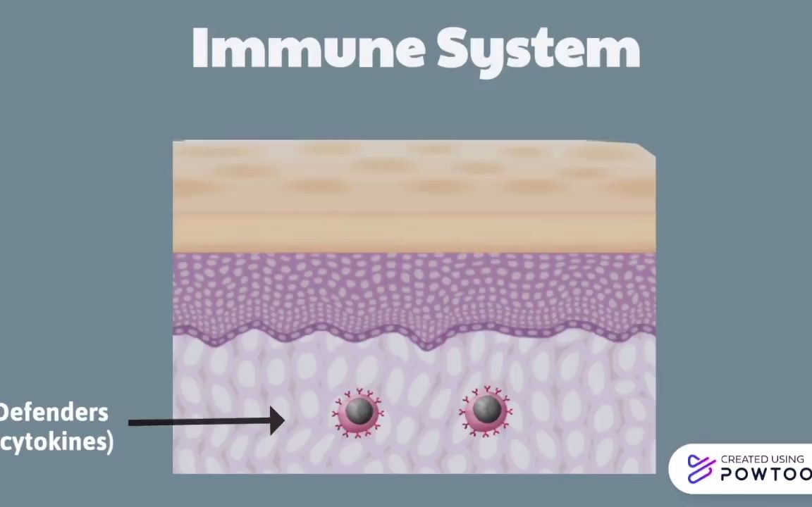 [图]AD特应性皮炎 - Atopic Eczema-XE7sX_gzlS0-720p-1651204519199