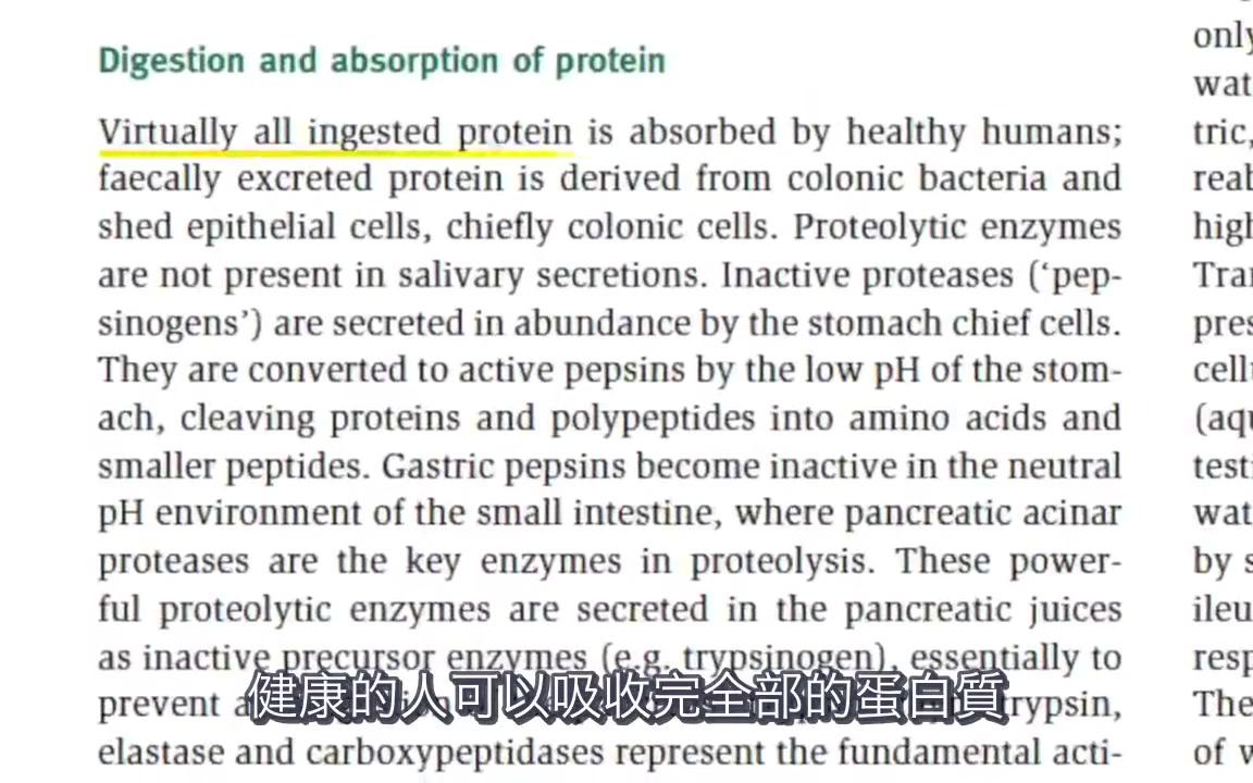 [图]蛋白質吸收上限？｜一次不要吃超過30g？｜迷思大破解（中文翻譯）