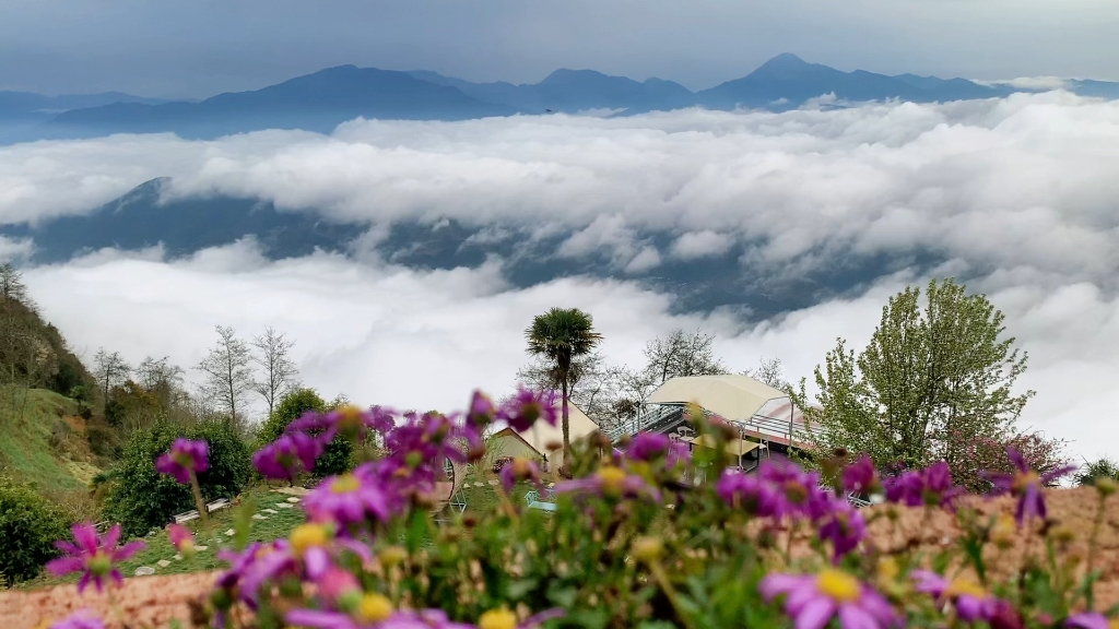 茨竹坝云海,竹境云屋观赏处,欢迎大家来云南文山州麻栗坡茨竹坝吴小童