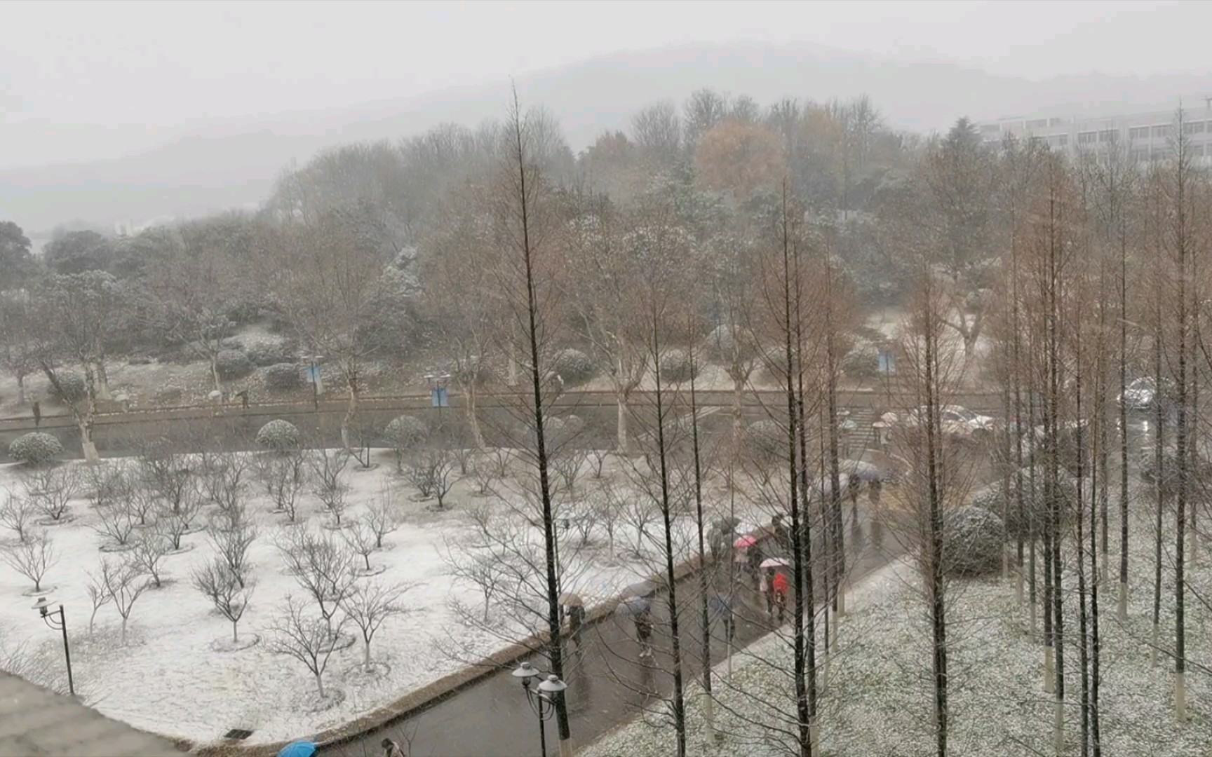 2020年初来南京时下的雪