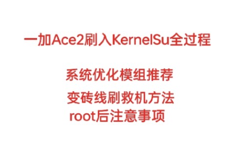 【coloros14不适用!】一加手机解锁bl并刷入kernelSu全过程,以及一加ACE2模块推荐哔哩哔哩bilibili