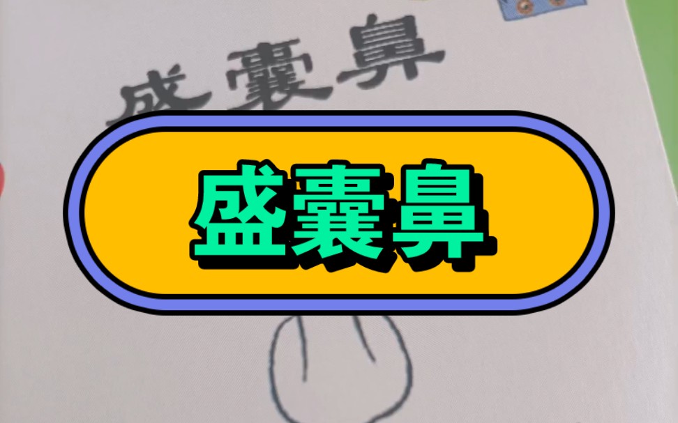 盛囊鼻的意义,你理解了吗?