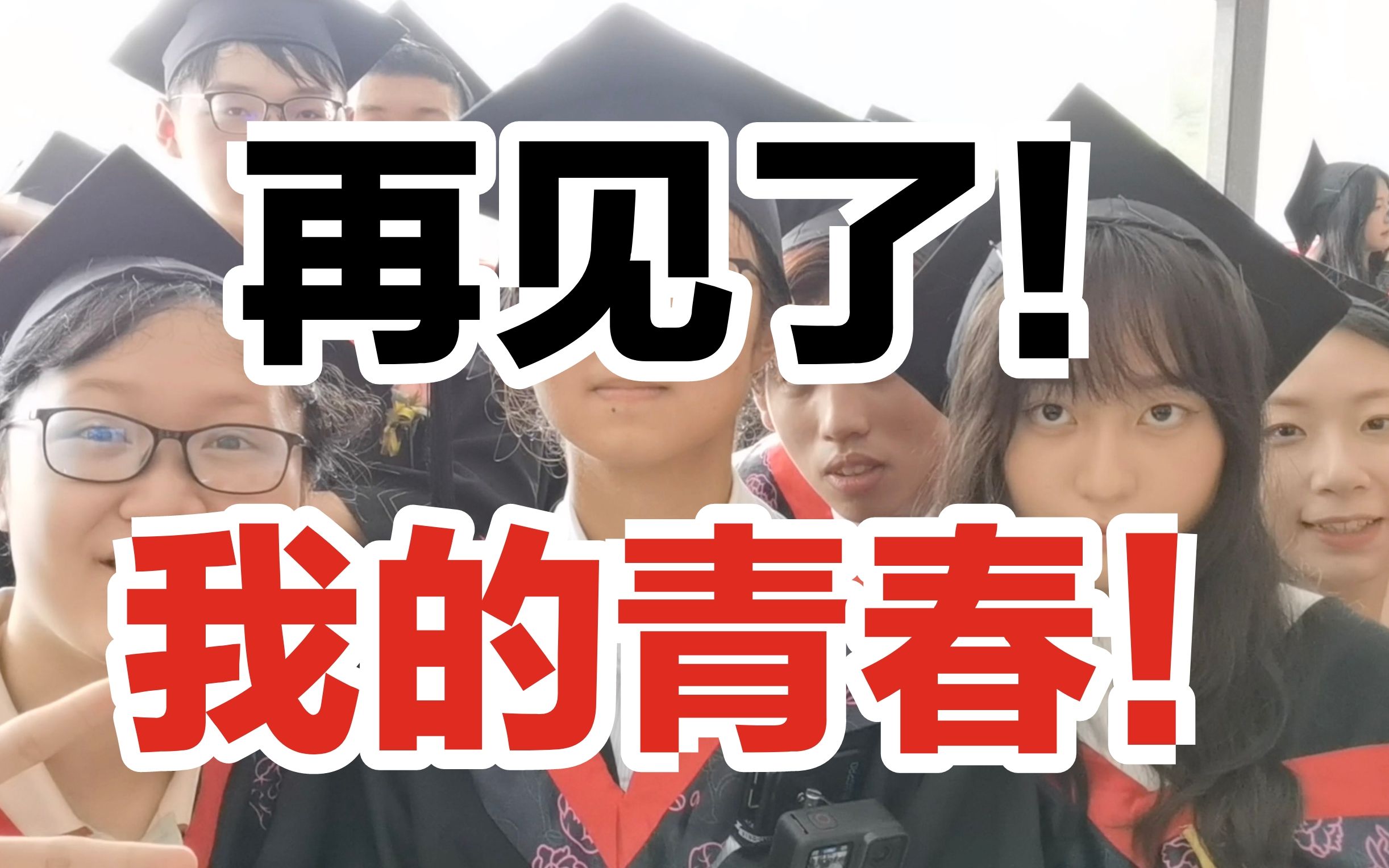 再见了! 我的青春