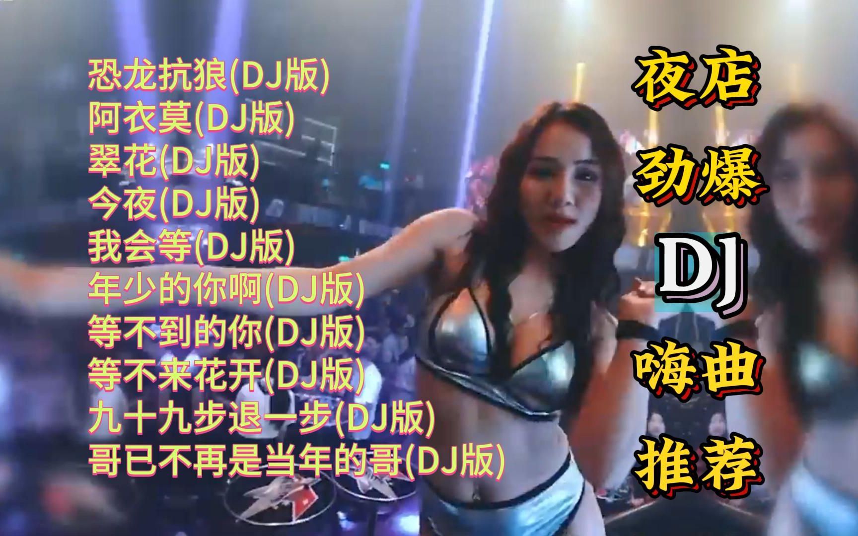 夜店劲爆DJ嗨曲精选【KTV字幕|动态歌词】恐龙抗狼, 阿衣莫, 翠花, 今夜, 我会等, 年少的你啊, 等不到的你, 等不来花开, 九十九步退一步等哔哩...