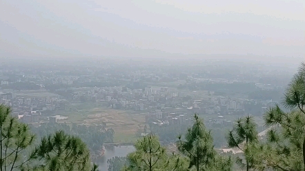 广东省茂名市化州市丽岗镇石龙山森林公园,旅游景点欢迎你.哔哩哔哩bilibili