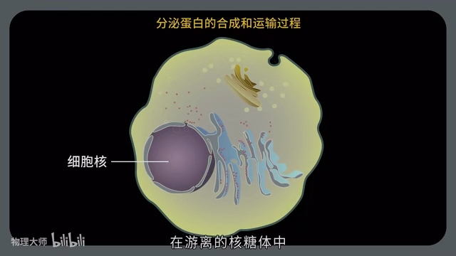 [图]山外青山--楼外青楼的精彩分享 https://b23.tv/BV1nJ411C7E6