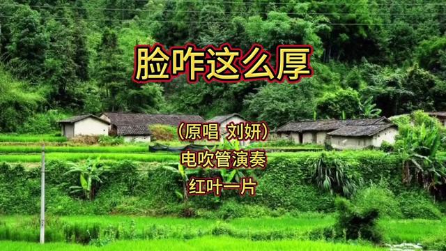 電吹管演奏《臉咋這麼厚》