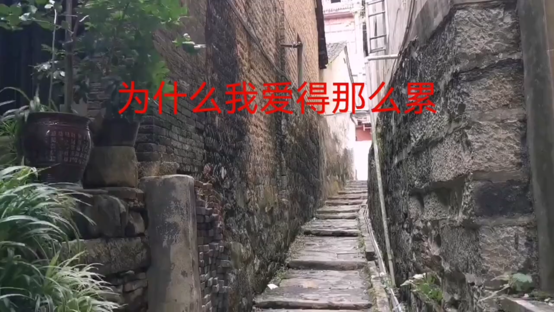 [图]《为什么我爱得那么累》