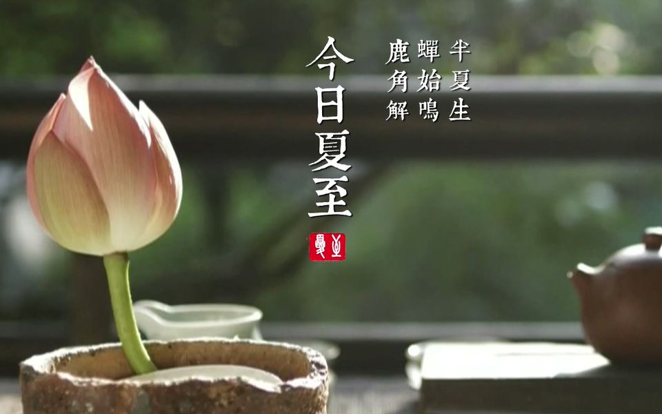 懂点文化第10集夏至今日夏至鹿角解蝉始鸣半夏生