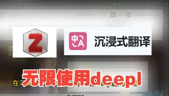 无限使用deepl|在沉浸式翻译和zotero