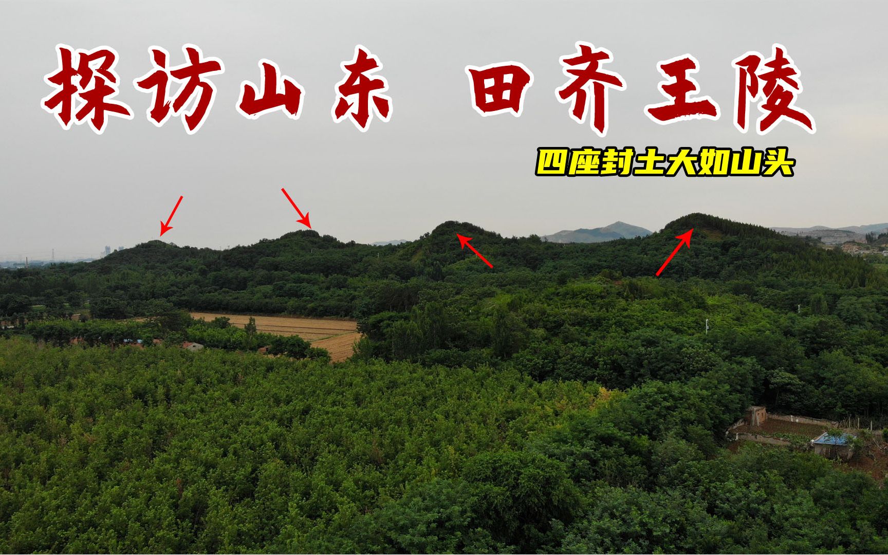 探访山东田齐王陵,4座封土就像4座小山,谁的权势会如此之大?