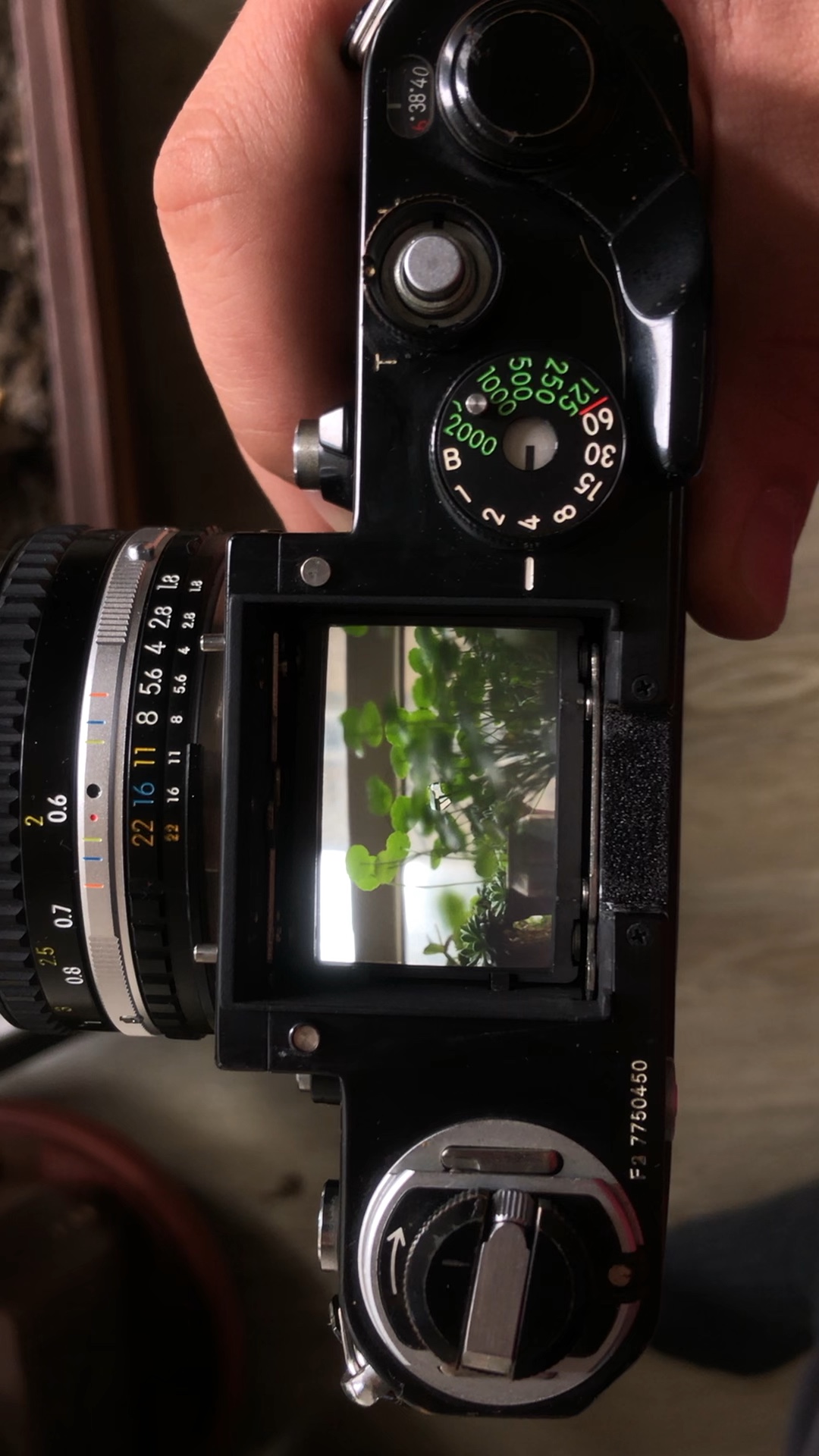 摘测光顶盘一会儿尼康f2胶片相机