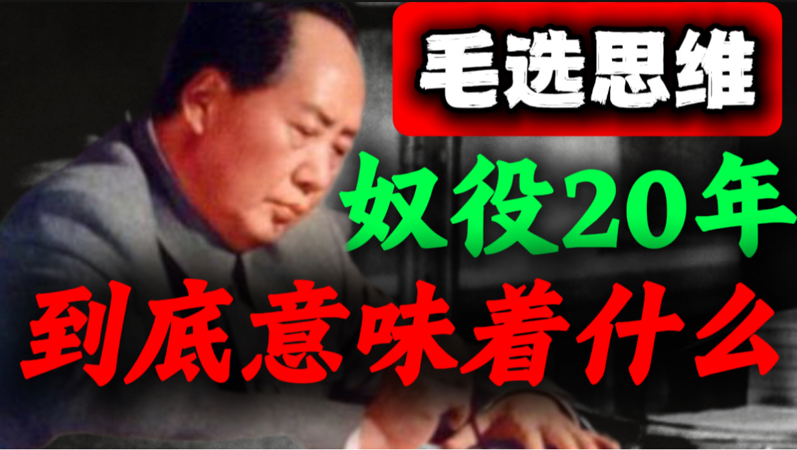 被奴役20年无人发现，毛主席早就说透了真相｜第35期｜毛选思维，毛选解读