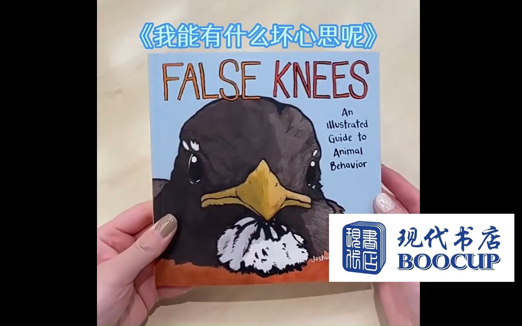 9781449499723 英文原版 我能有什么坏心思呢 乔舒亚ⷮŠ巴克曼 False Knees Joshua Barkman漫画系列 去码头整点薯条哔哩哔哩bilibili