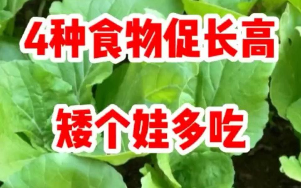 4种食物促长高,矮个娃多吃,半年蹿高10厘米哔哩哔哩bilibili