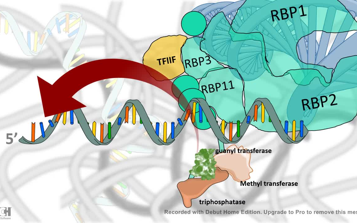 [图]图解生物化学与分子生物学