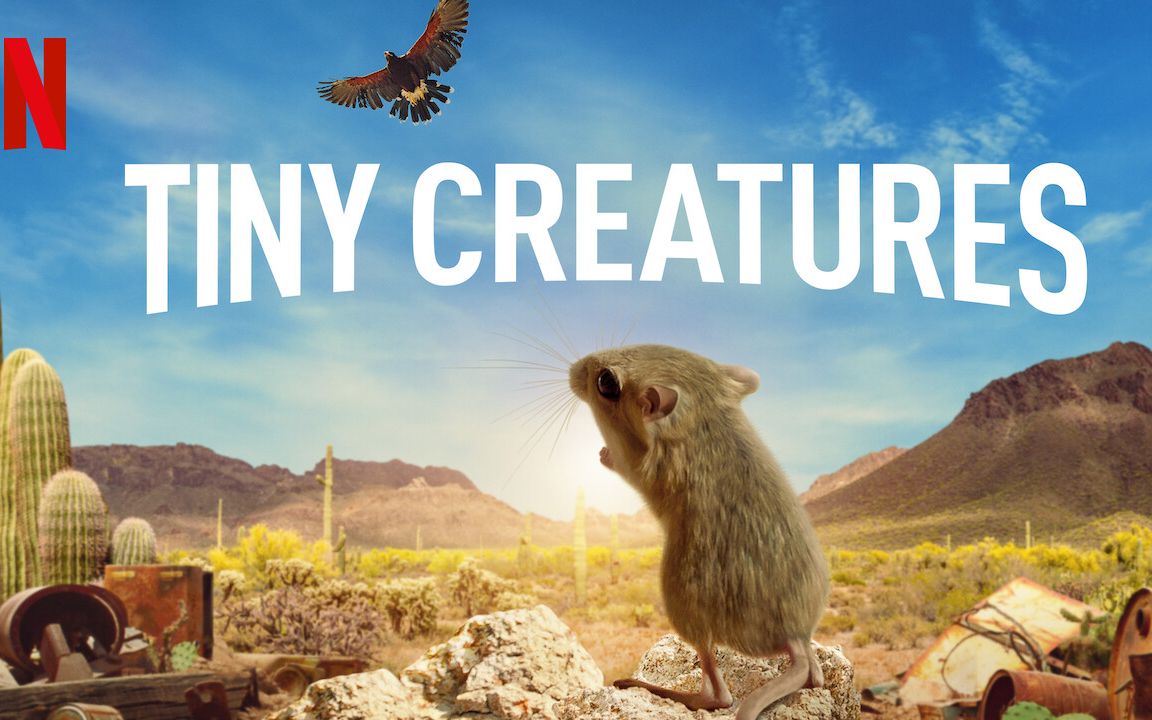 [英语中字][netflix纪录片]微观世界 tiny creatures (2020)