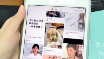 这个尺寸刚刚好