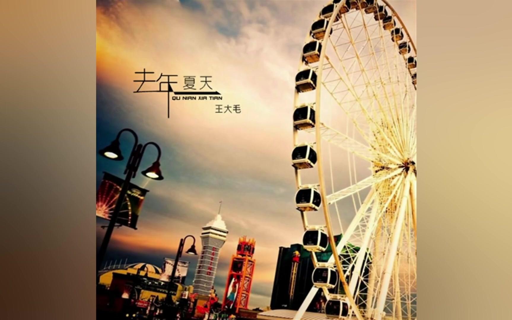 王大毛  去年夏天(Wang Damao  Last Summer)哔哩哔哩bilibili