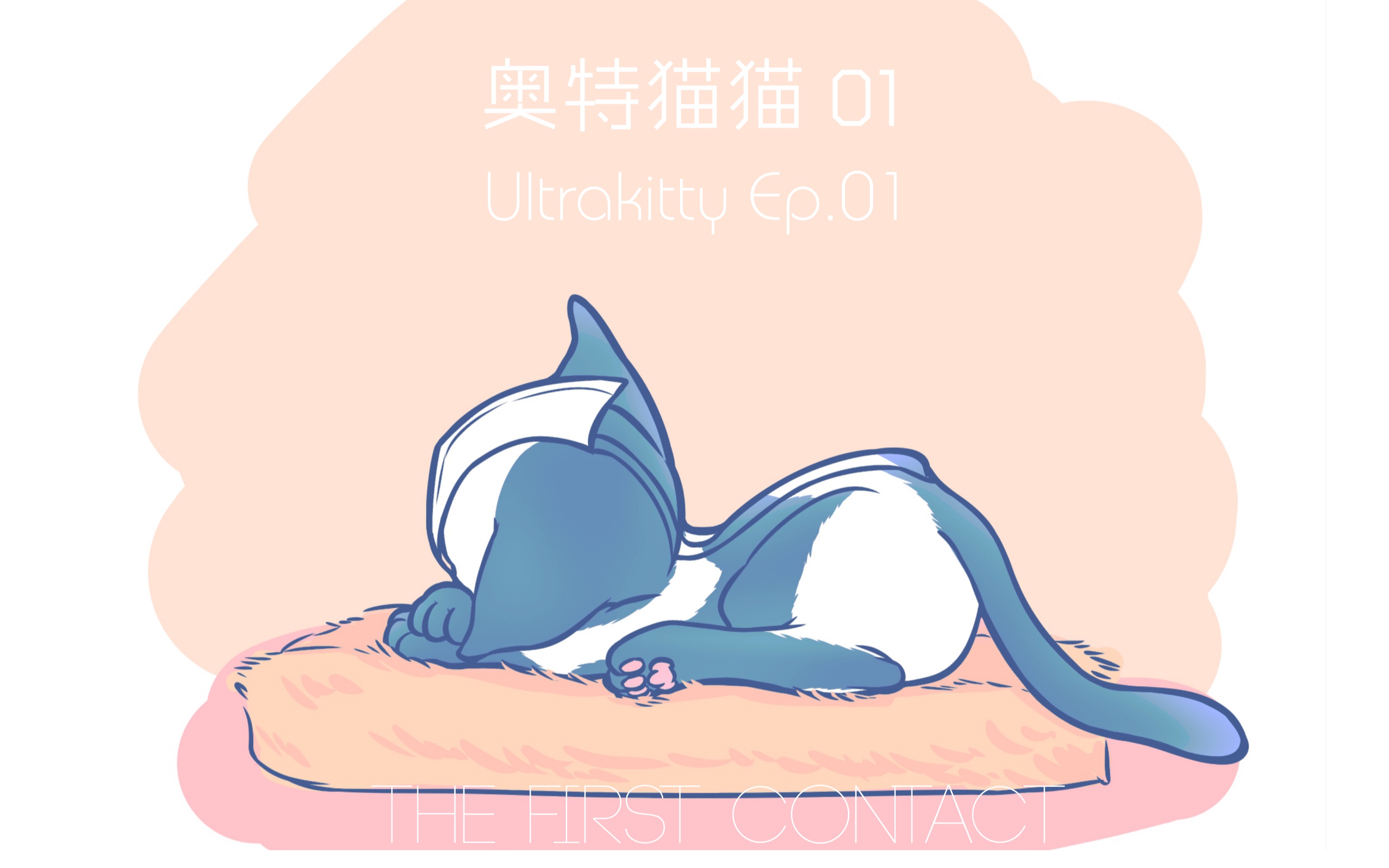 【高斯奥特曼_奥特猫猫】拥有一只不常见品种的猫咪是什么样的体验?