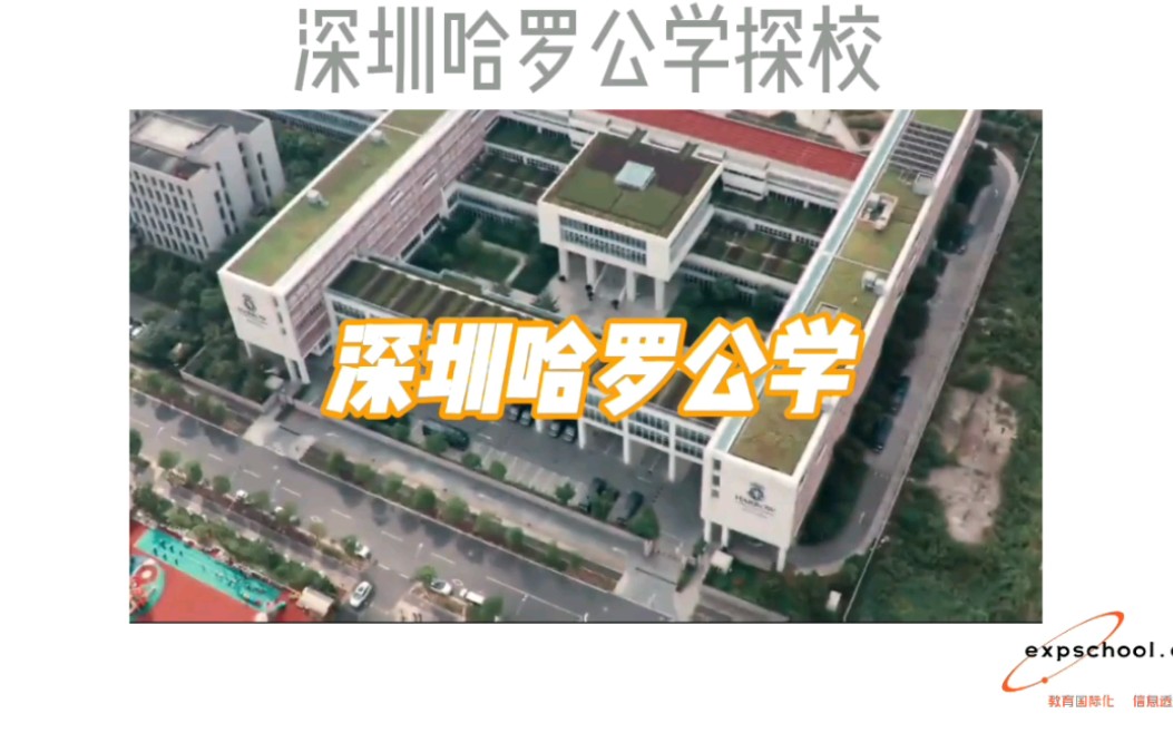 深圳哈罗公学探校哔哩哔哩bilibili