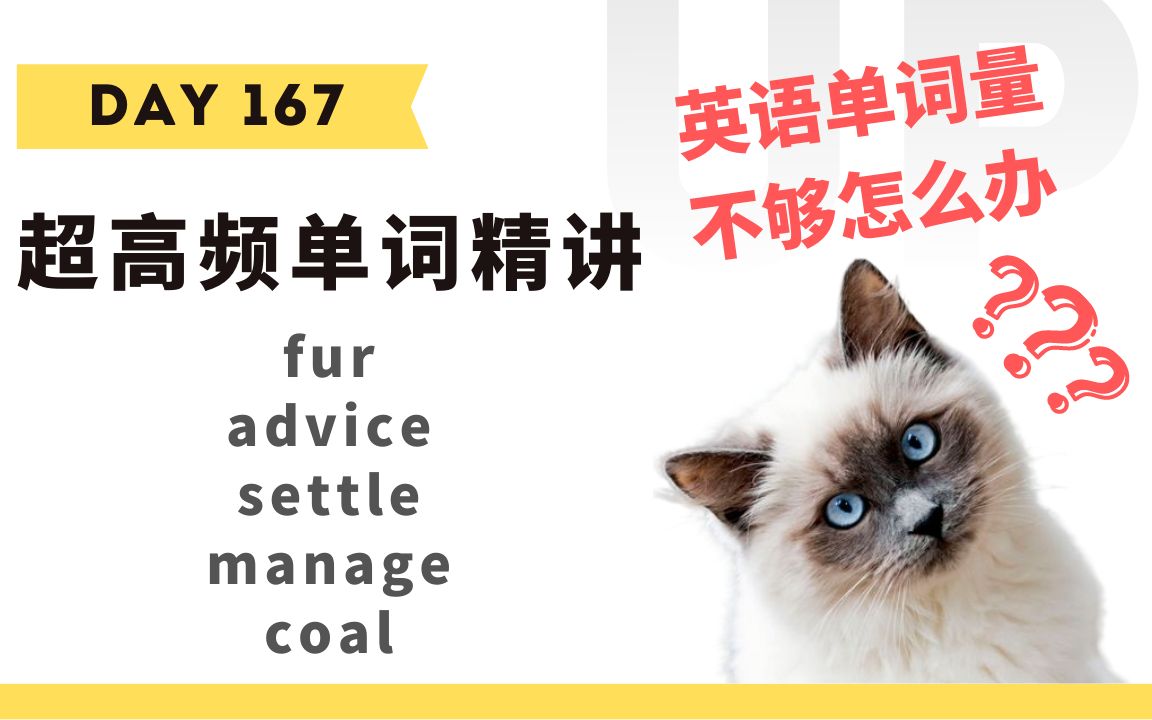 【学英语】十分钟掌握必背单词Day 167:fur, advice, settle, manage, coal哔哩哔哩bilibili