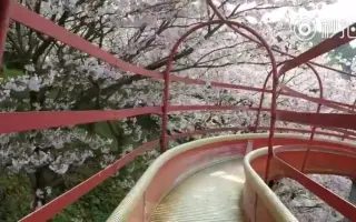 菊间町 搜索结果 哔哩哔哩 Bilibili
