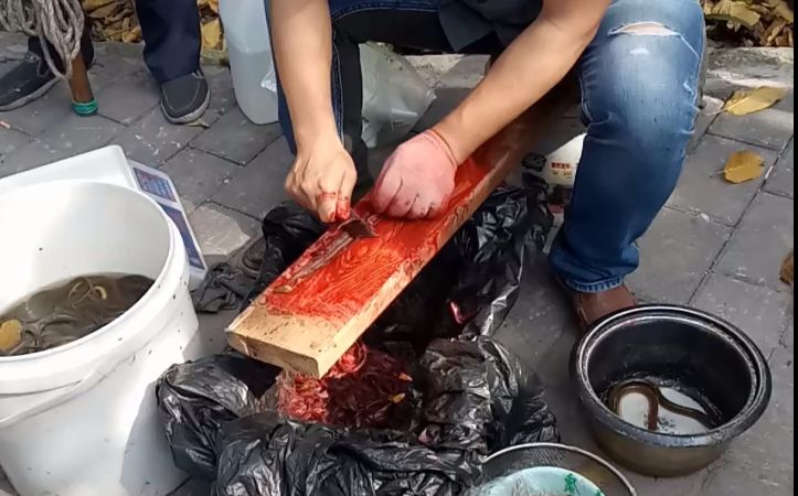 实拍重庆街头杀黄鳝35秒一个这活一般人真干不了