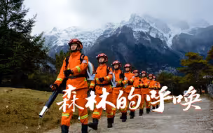 【森林的呼唤】被封面的雪山吸引，没想到歌还这么好听！