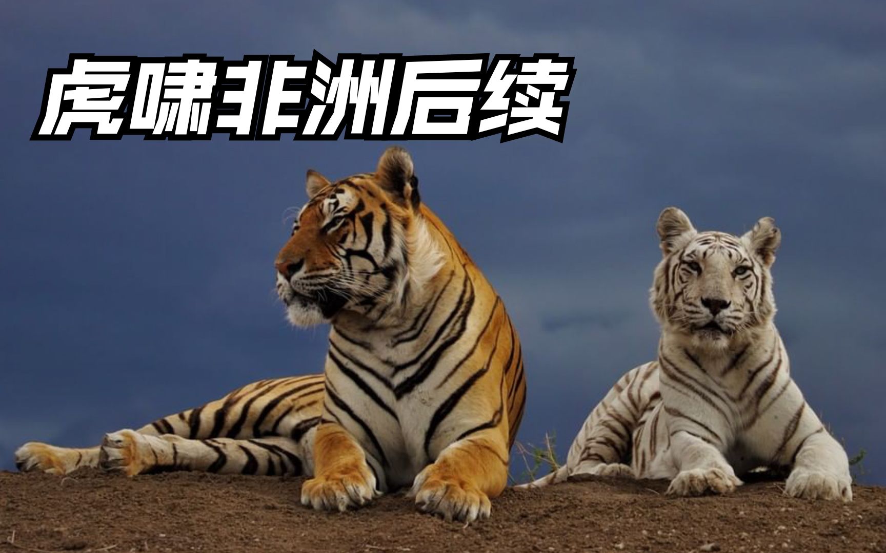 虎啸非洲后续,罗恩与朱莉死后的故事,上演家庭大乱斗