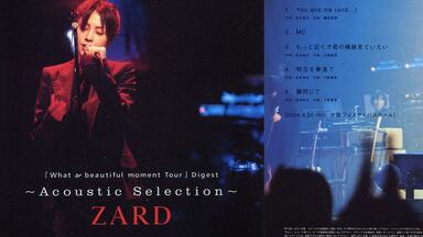 zard- What a beautiful memory, 2007-2009 中文字幕_哔哩哔哩_