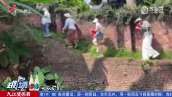 Télécharger la video: 【粤语新闻】肇庆鼎湖山景区“蛇头”收费带人逃票乱象不止 街坊希望加强管理