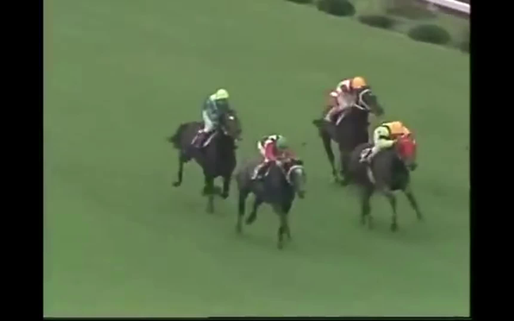 オグリキャップのたてがみ 1990年度代表馬/葦毛の怪物/平成三強
