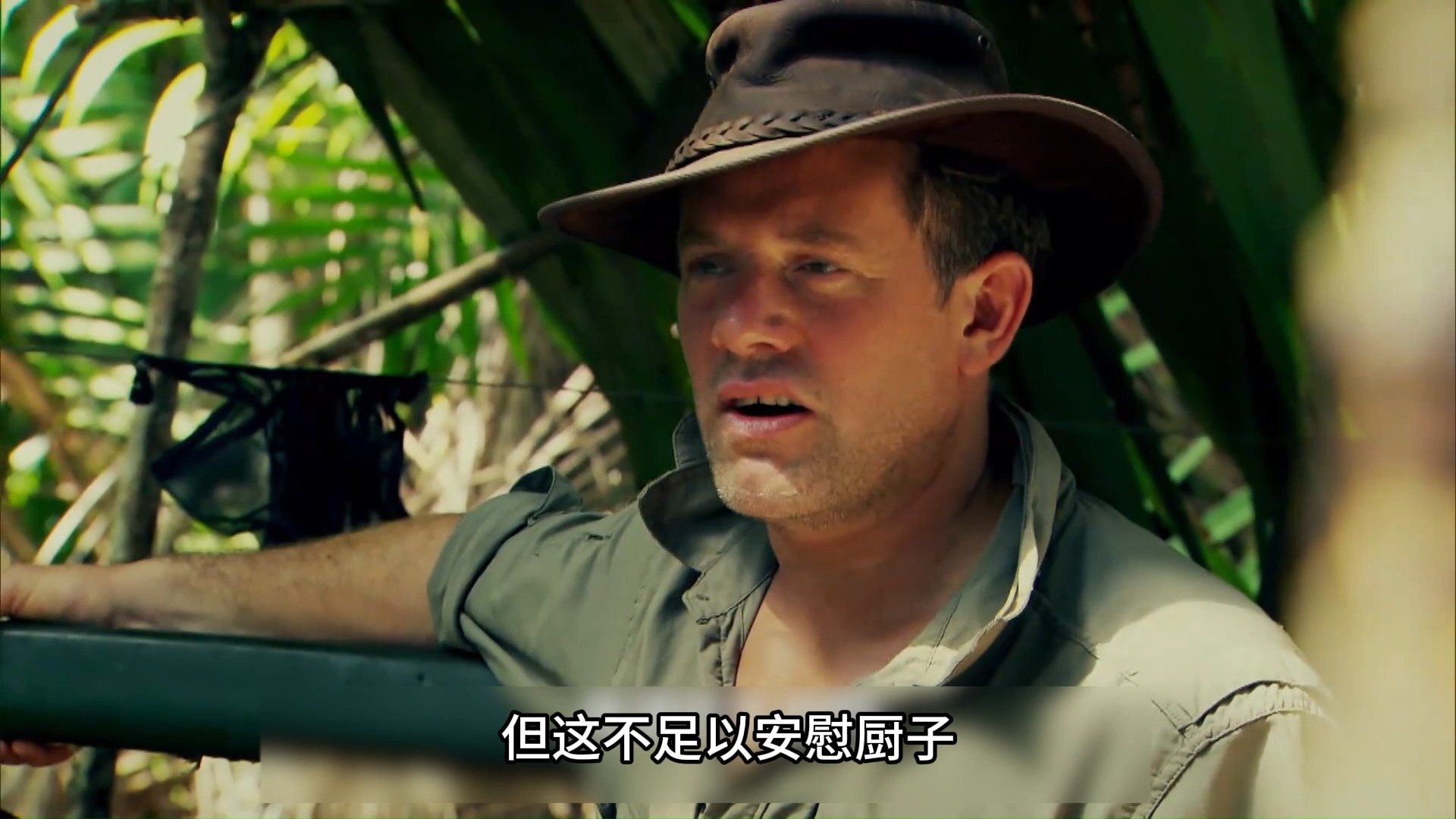 丛林野食王8