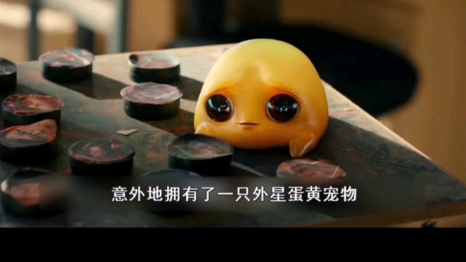 蛋黄人哔哩哔哩bilibili