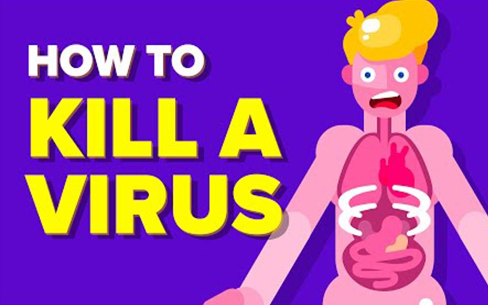 【中字|趣味动画科普|杀死病毒】病毒和细菌流行史?