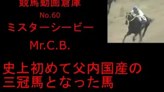 赛马 魔性的青鹿毛 目白高峰 メジロラモーヌ 比赛合集 哔哩哔哩 Bilibili