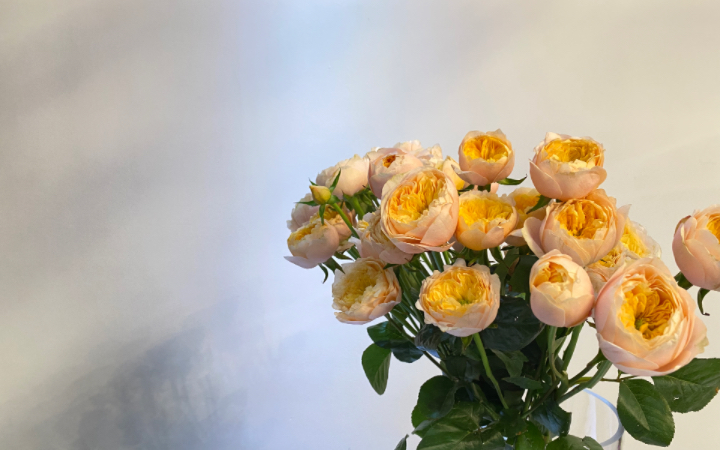 花材整理篇-多头玫瑰黄蝴蝶