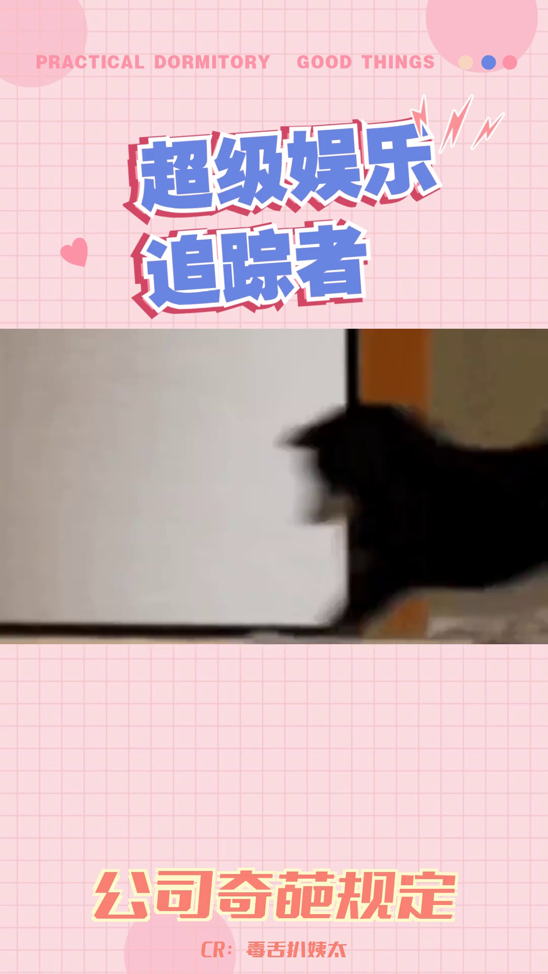 "奇葩公司管理:从断电招财猫到禁止大号"哔哩哔哩bilibili