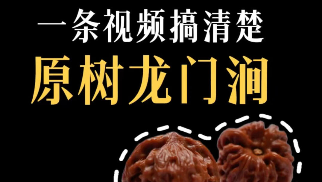 文玩核桃 龍门涧 文玩核桃绕不开的品种--原树龙门涧_哔哩哔哩_bilibili