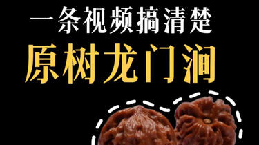 文玩核桃绕不开的品种--原树龙门涧_哔哩哔哩_bilibili