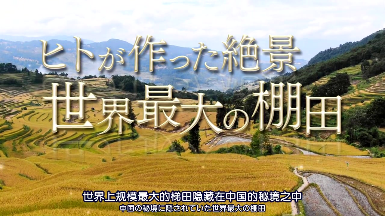 [Kamigami] The World Heritage  20190217 红河哈尼梯田的文化景观 [720p x264 AAC CHS]哔哩哔哩bilibili